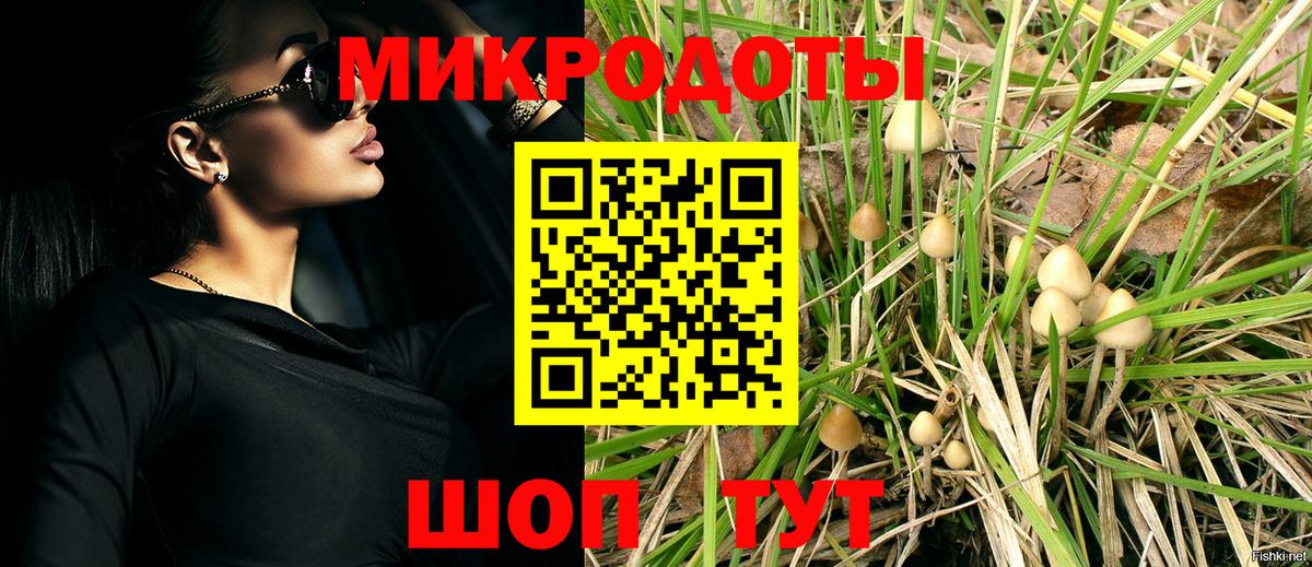 Галлюциногенные грибы Psilocybine cubensis Спасск-Дальний